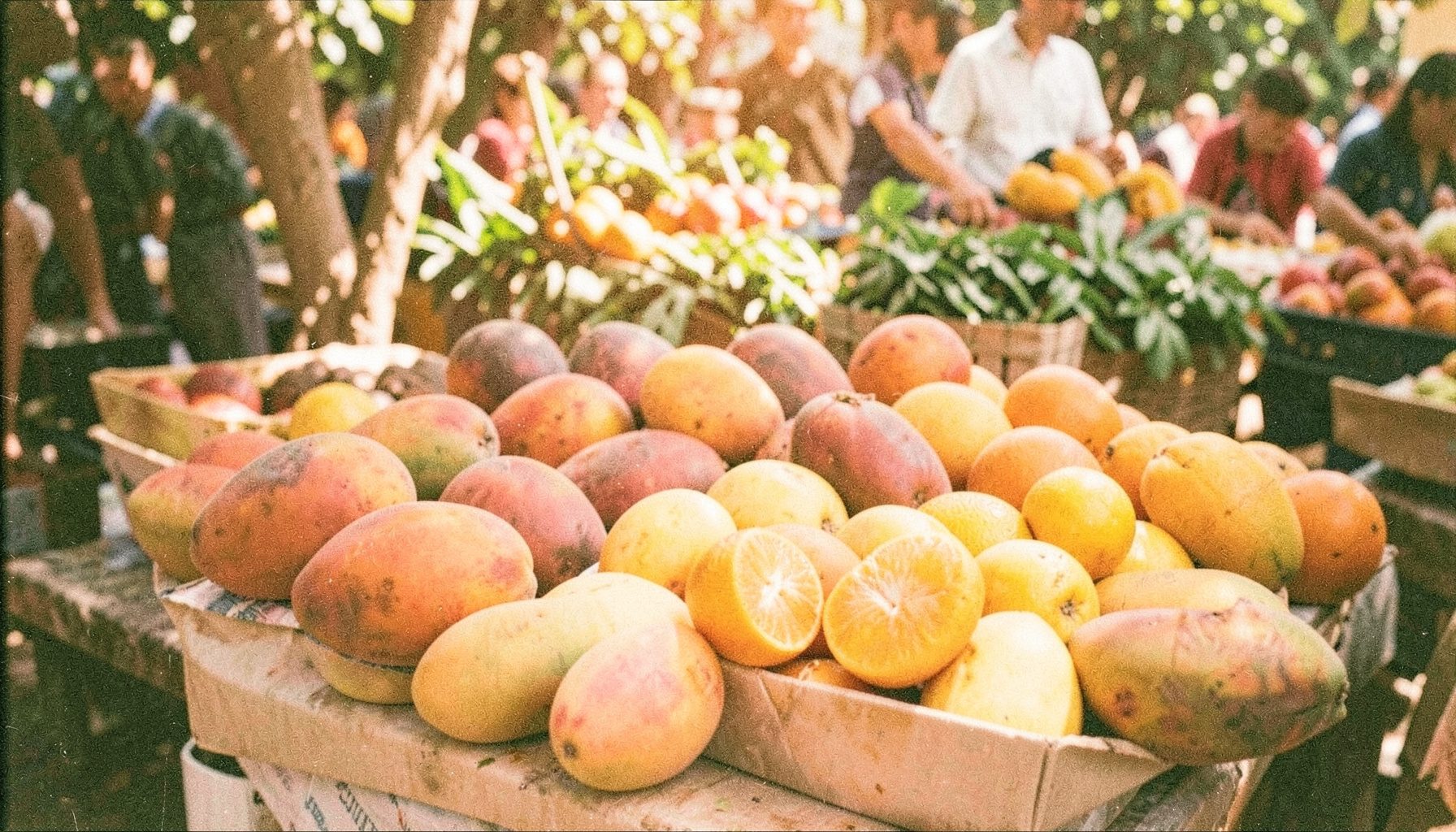 Meja pasar petani luar ruangan yang disinari matahari dengan buah tropis segar, suasana cerah dan hidup